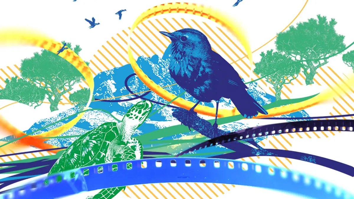 COP31 Climate Short Film Competition — Deadline 10 October 2026 · COP31 ...